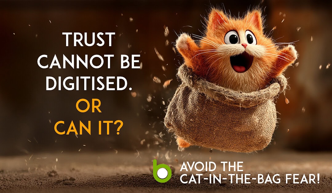 Avoid the cat-in-the-bag-fear